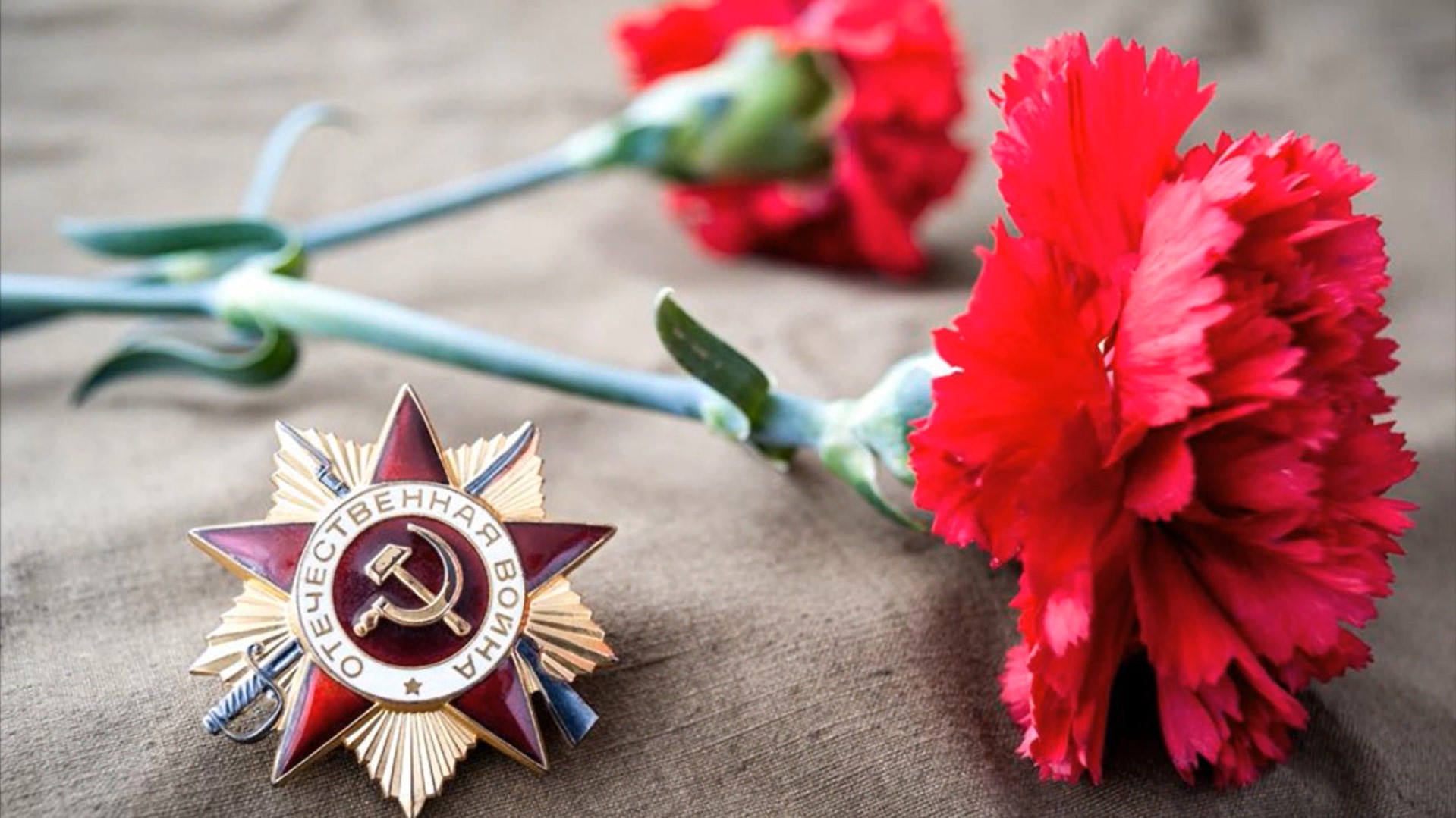 Обложка 664 гимназия. Помнить историческое прошлое- память ВОВ, ратный подвиг защитников Ленинграда